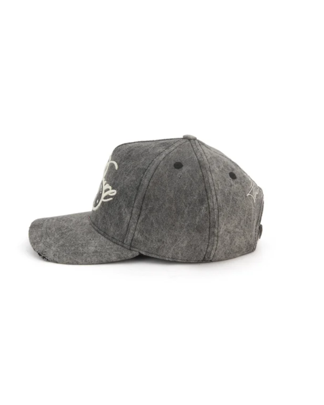 ACROSS THE LINES WASHED CAP