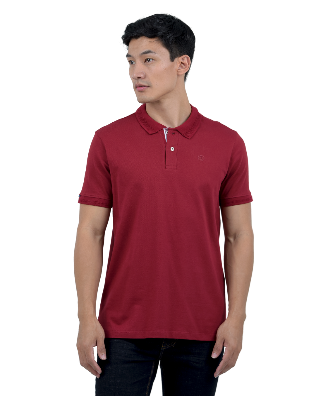 POLO BASICA VINOTINTO - BLUE INC