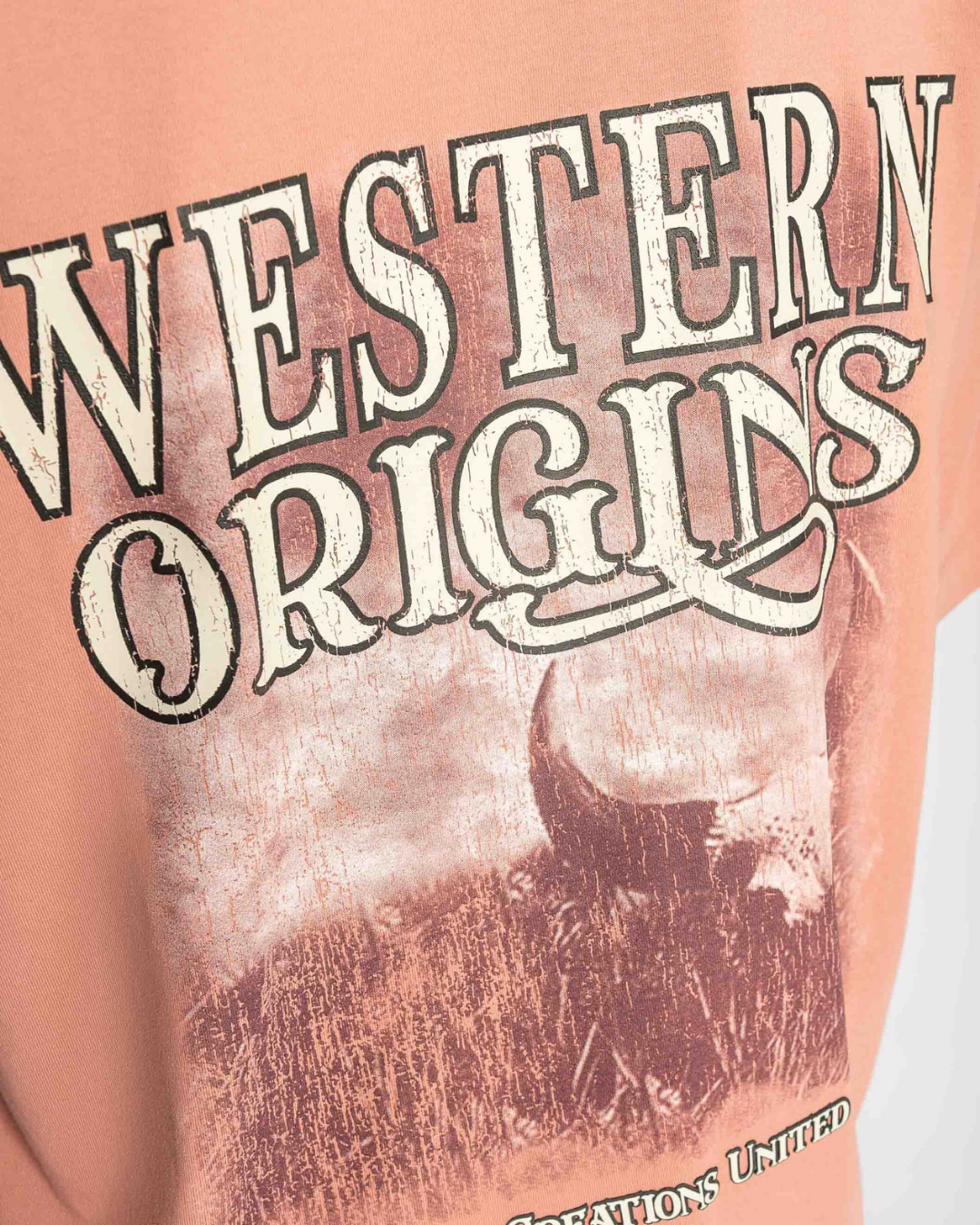BEFORE THE WEST CORAL T-SHIRT