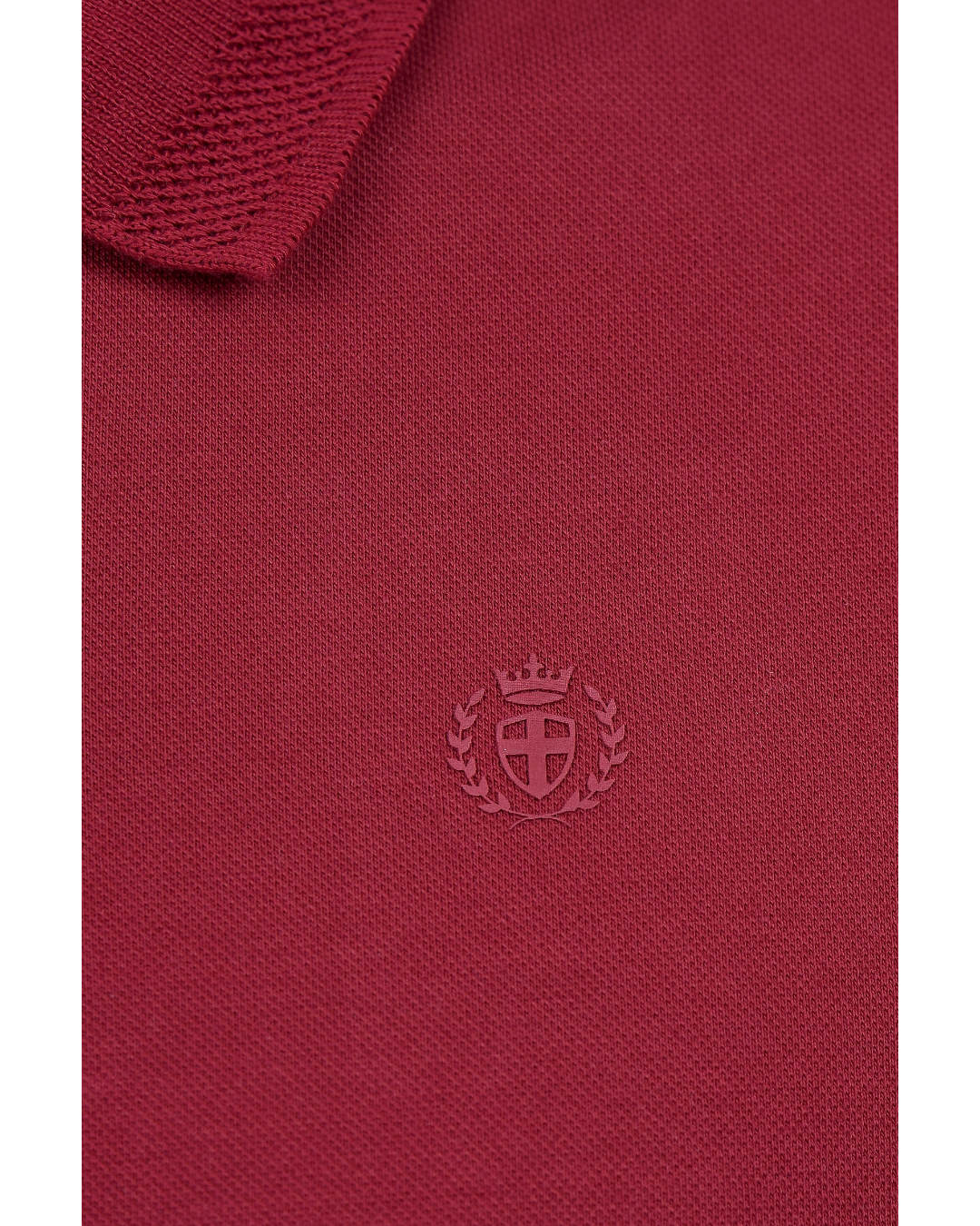POLO BASICA VINOTINTO - BLUE INC